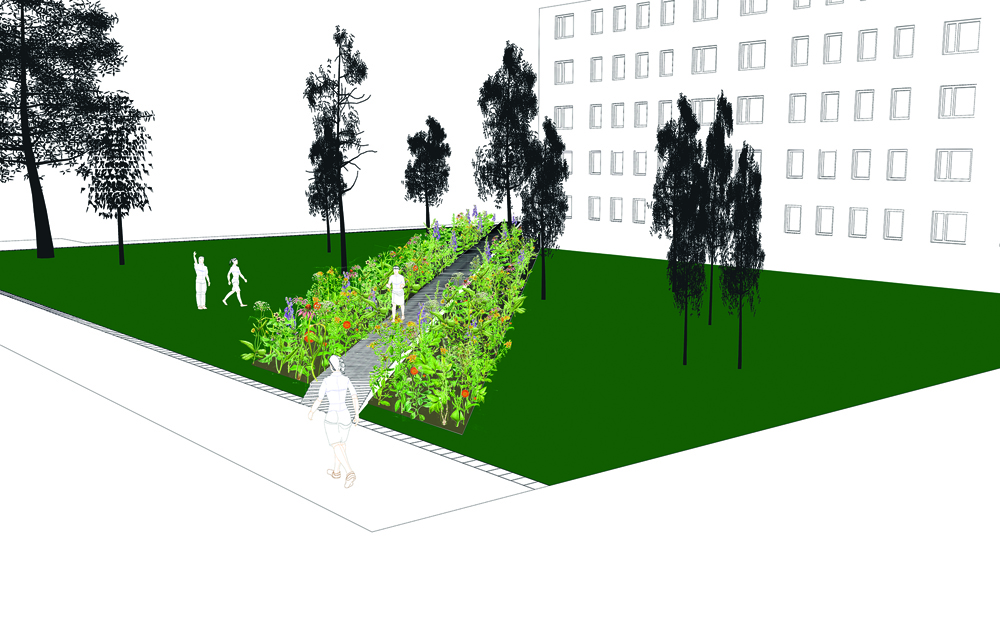 Alexander Callsen und Boris Jöns: STEG